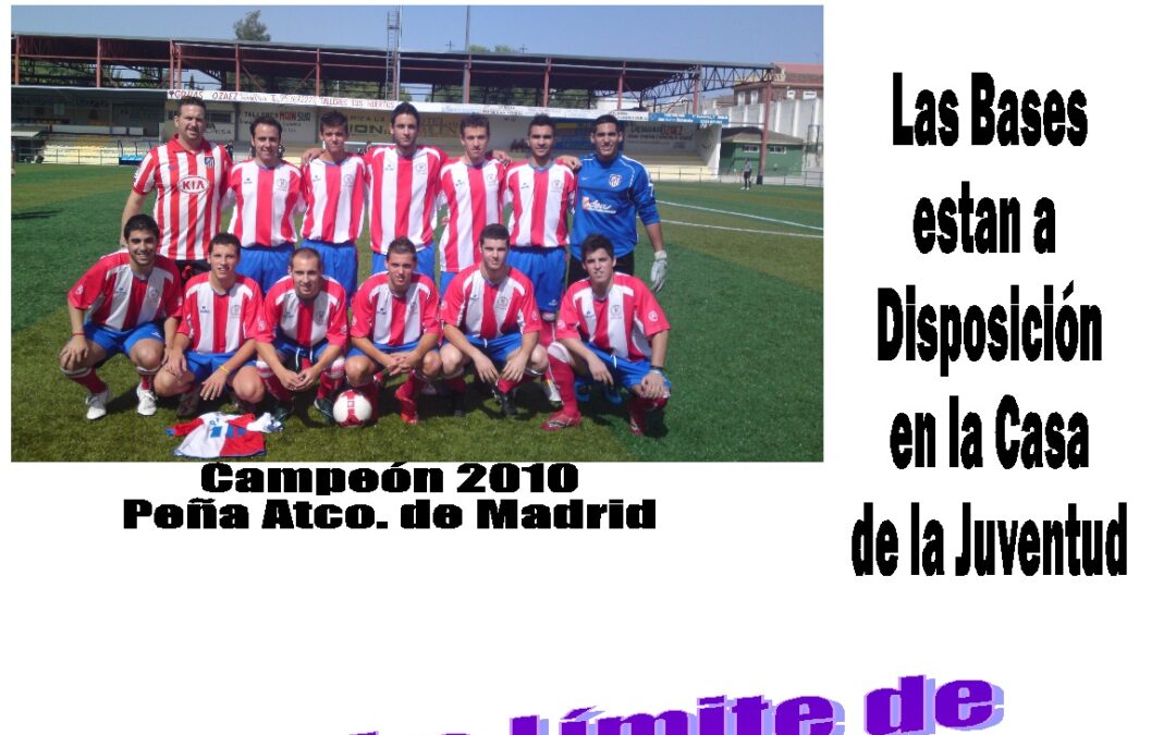 Liga Local de Fútbol 7 2011