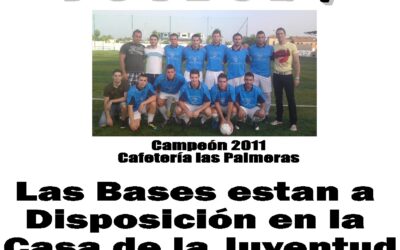 Liga Local de Fútbol 7 2012
