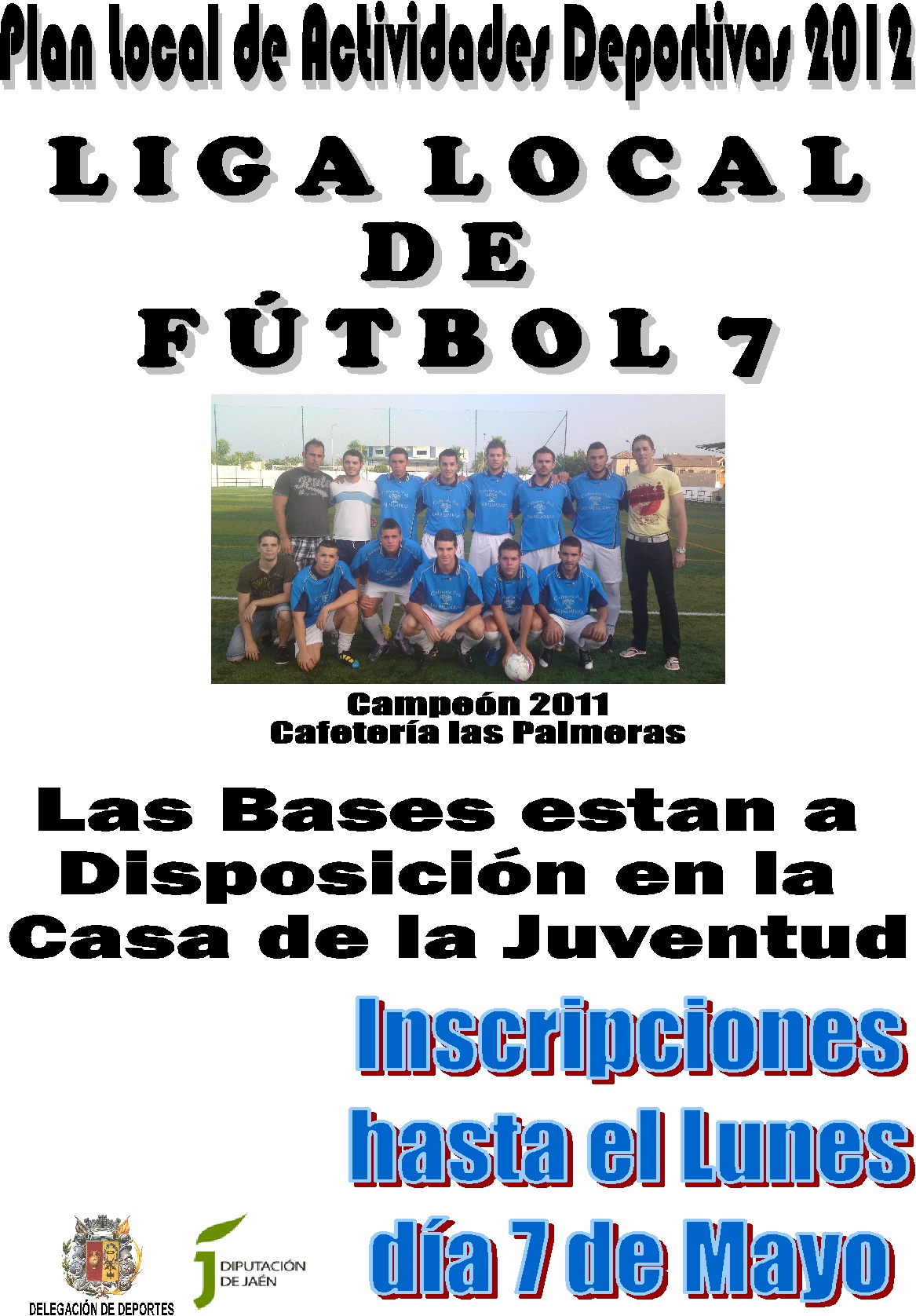 CARTEL_LIGA_LOCAL_DE_FUTBOL_7_2012