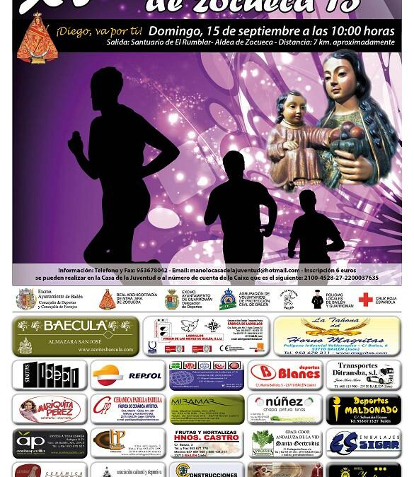 XV CARRERA SANTUARIO V. DE ZOCUECA 2013