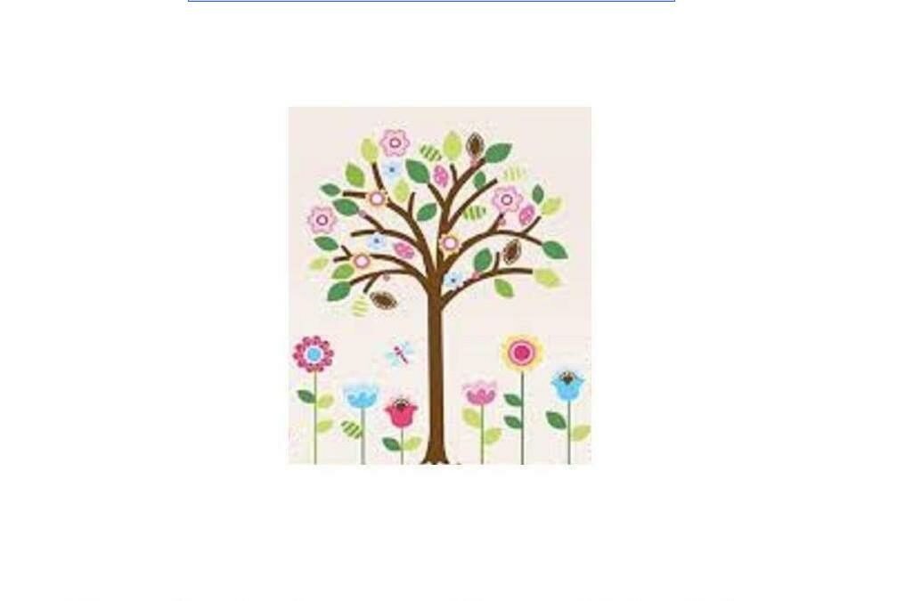 DECORA TU BIBLIOTECA