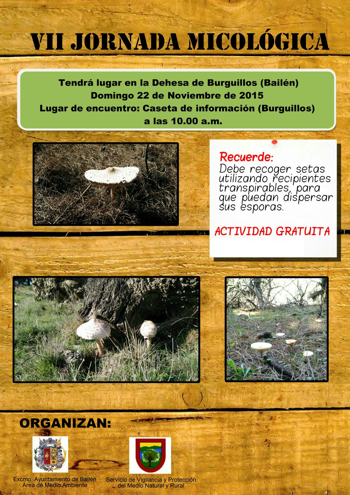 Cartel VII Jornada Micológica