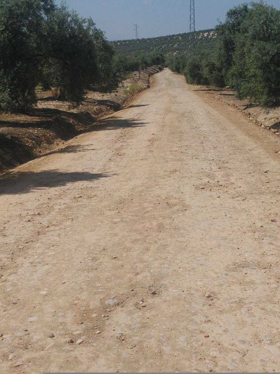 Imagen después Copiar