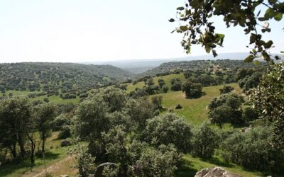 QUEDADA EN BURGUILLOS  PARA VER LAS PERSEIDAS