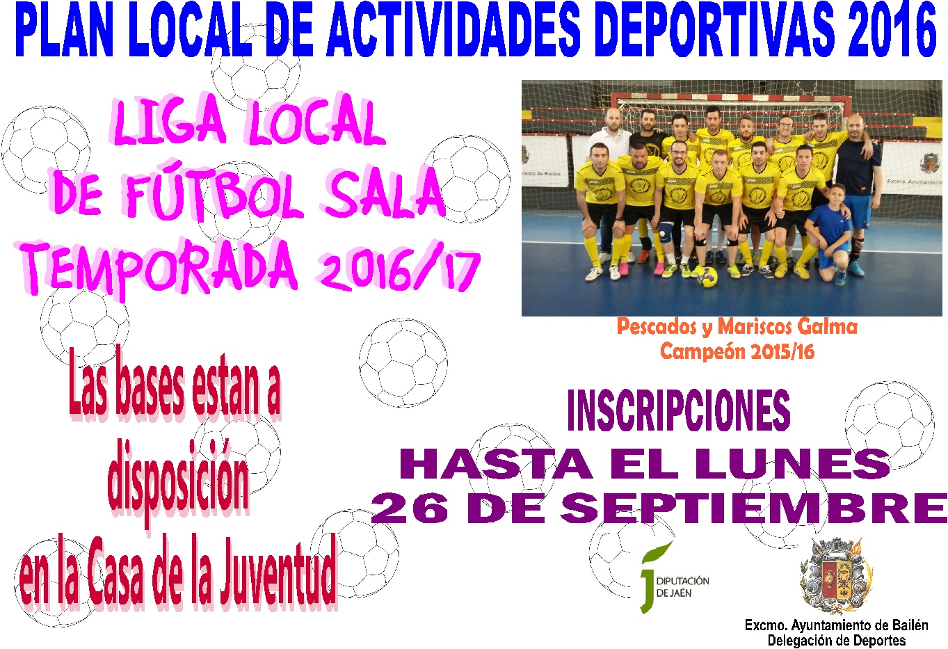 Liga Local de Fútbol Sala Temporada 2016.17