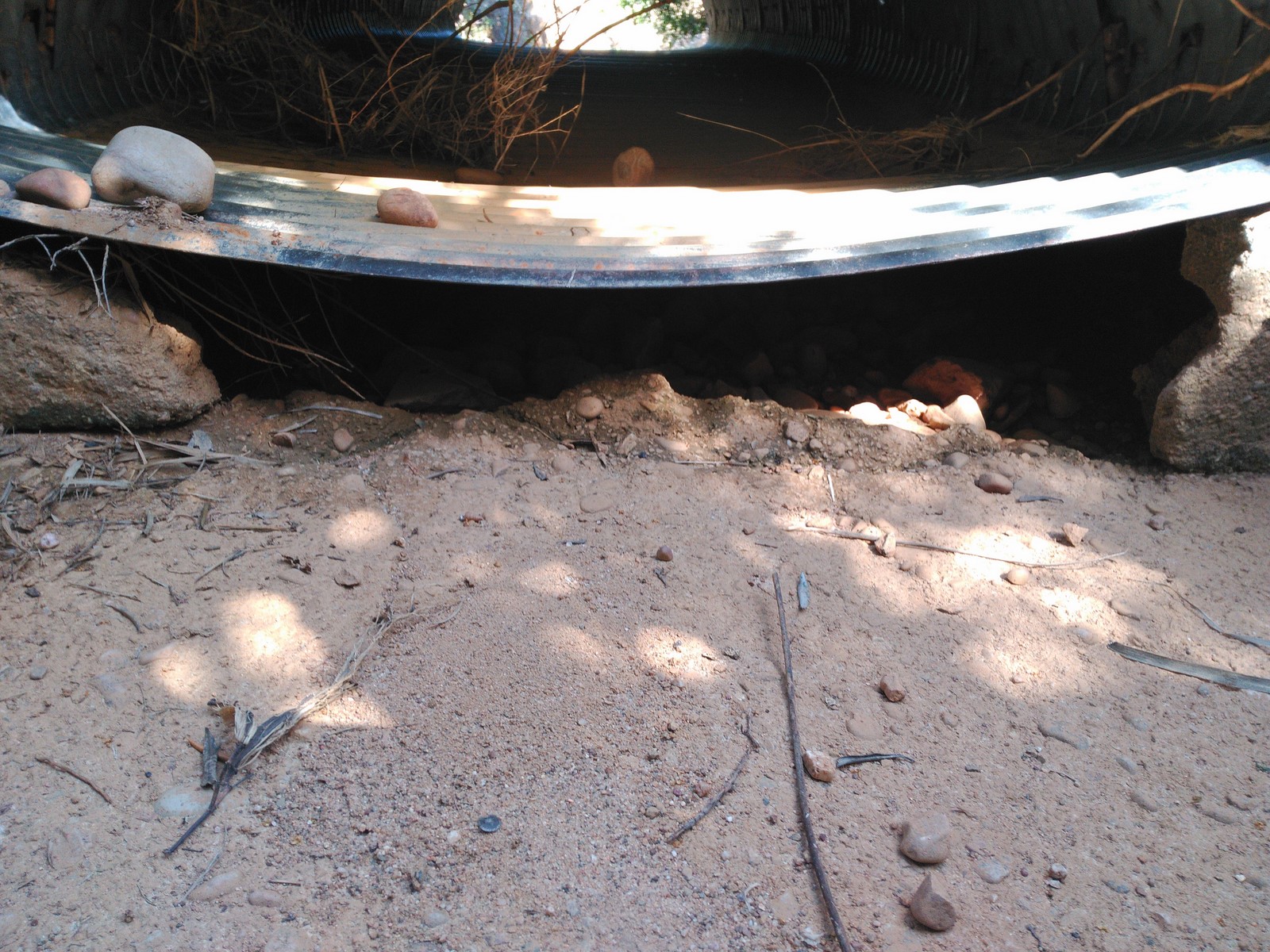 Camino antes 1 Copiar