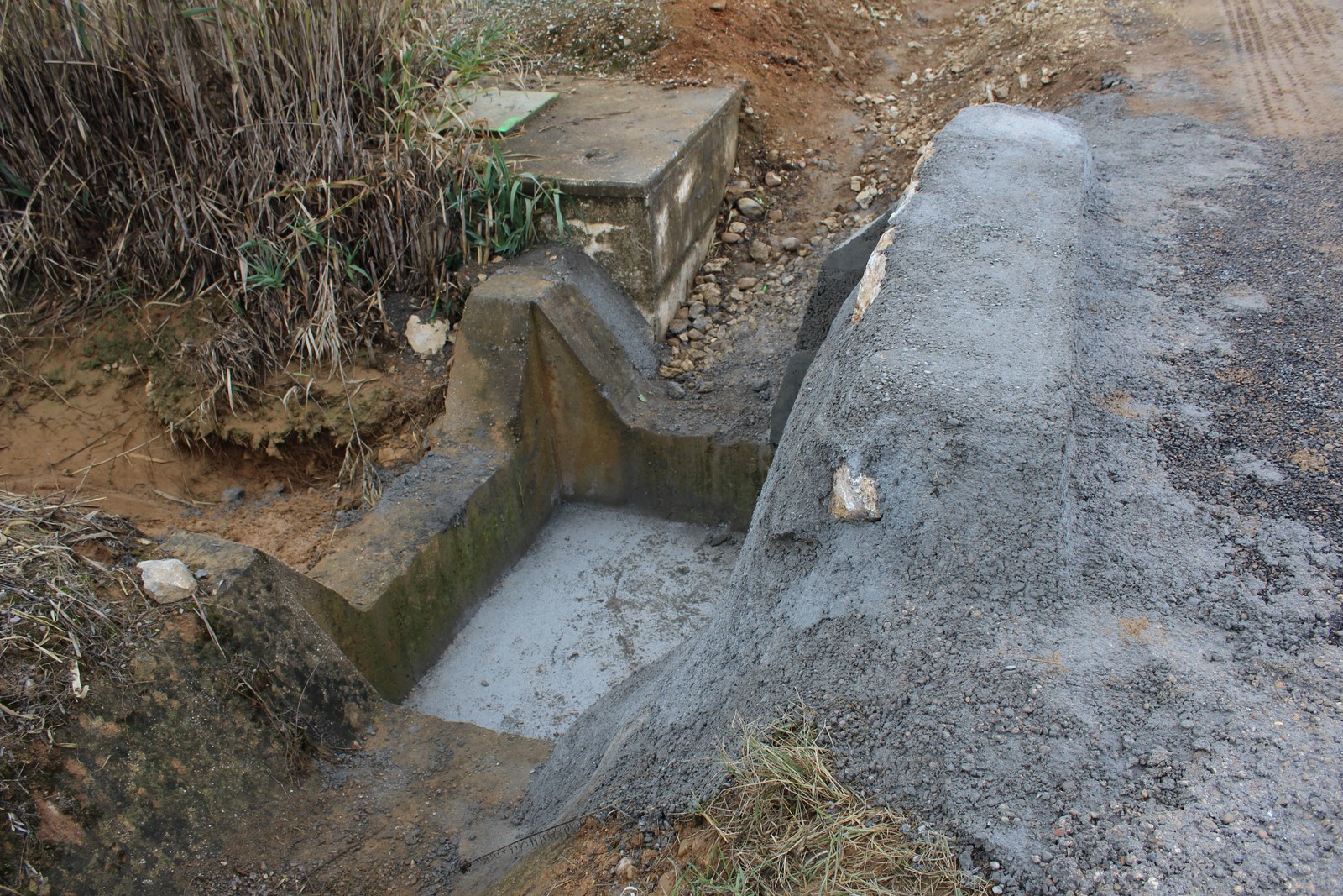 Camino después 1 Copiar