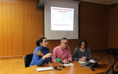 SITUACIÓN DEL MERCADO DEABASTOS Y SUBVENCIÓN  PARA LA REINDUSTRIALIZACIÓN N-IV