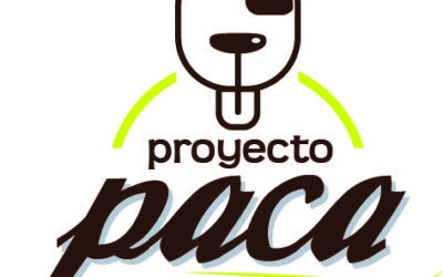 PUESTA EN MARCHA DEL PROYECTO PACA