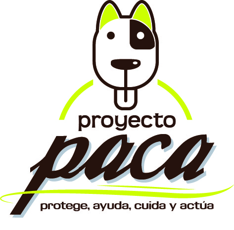 paca sin transparencia