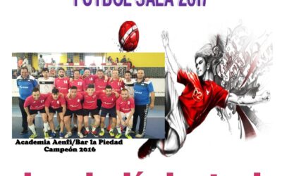 28 HORAS LOCALES DE FÚTBOL-SALA 2017