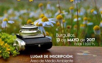 II GYMKANA FOTOGRÁFICA  “BURGUILLOS EN EL OBJETIVO”