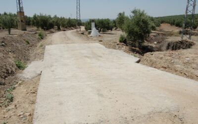 OBRAS DE ADECUACIÓN EN LOS  CAMINOS RURALES DE BAILÉN