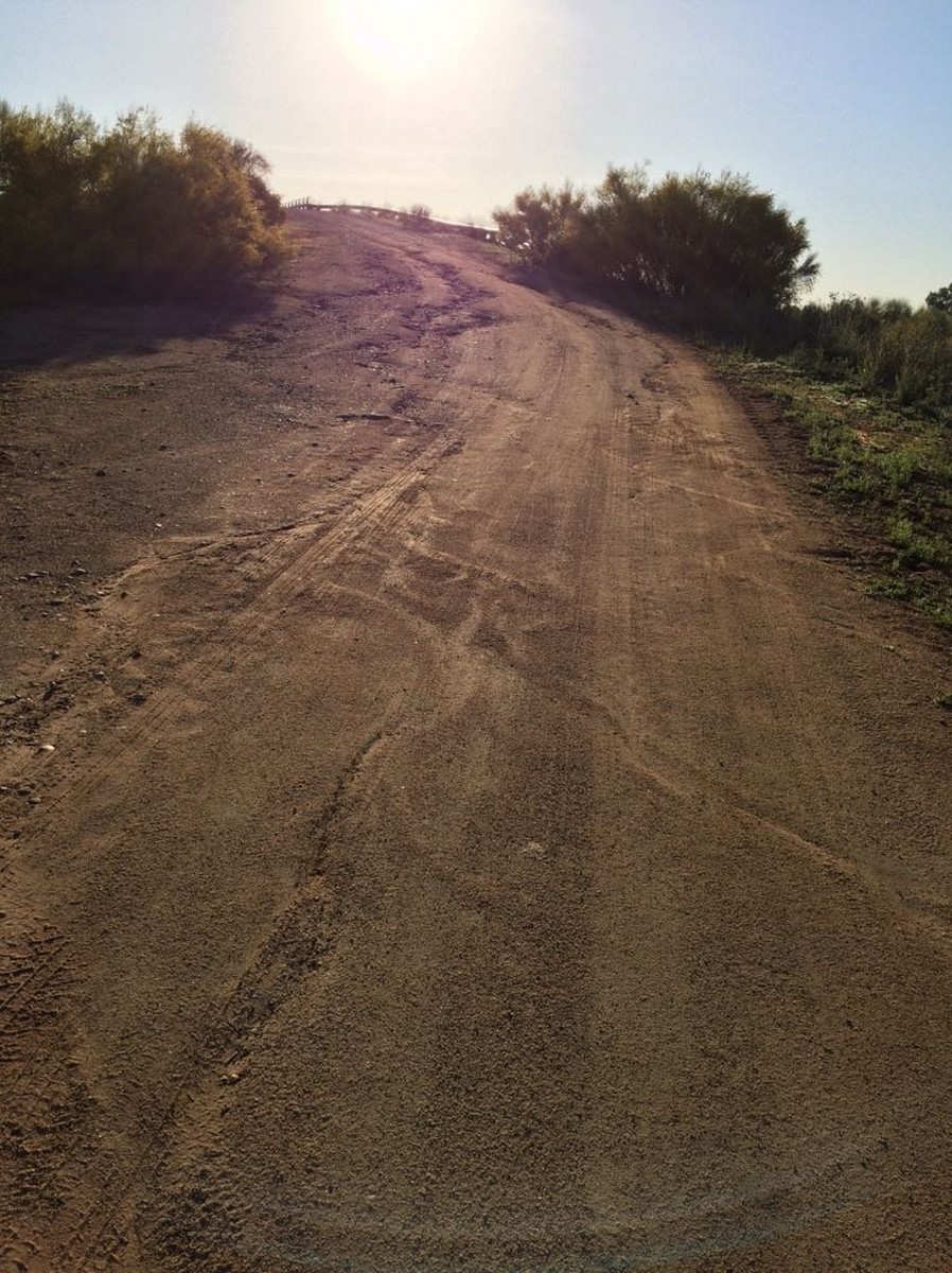 Minillas antes Copiar