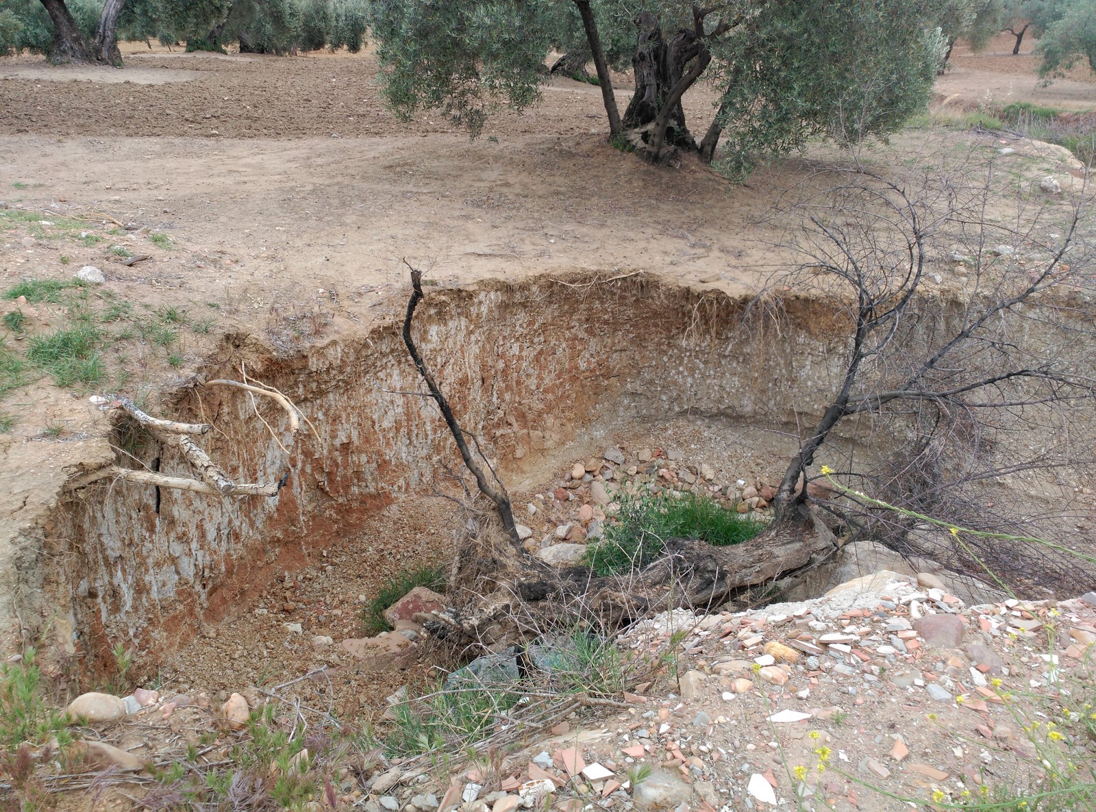 Reparación Cuesta Juripe 1 Copiar