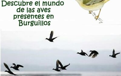 JORNADA DE ANILLAMIENTO CIENTÍFICO DE AVES