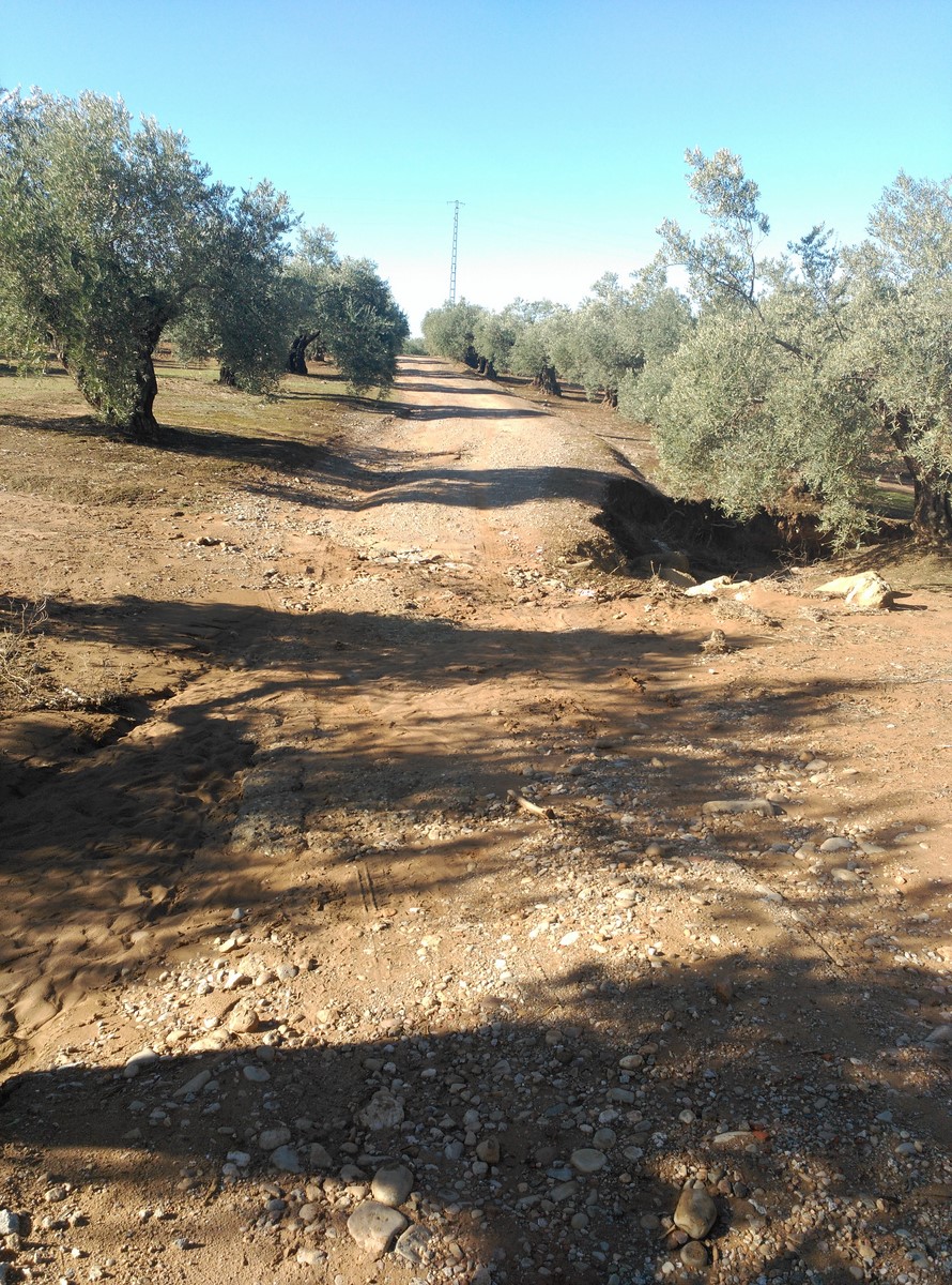 Baden Los Cuarterones 2 Copiar