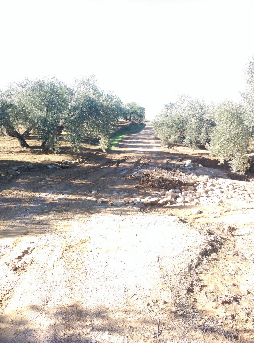 Baden Los Cuarterones 3 Copiar