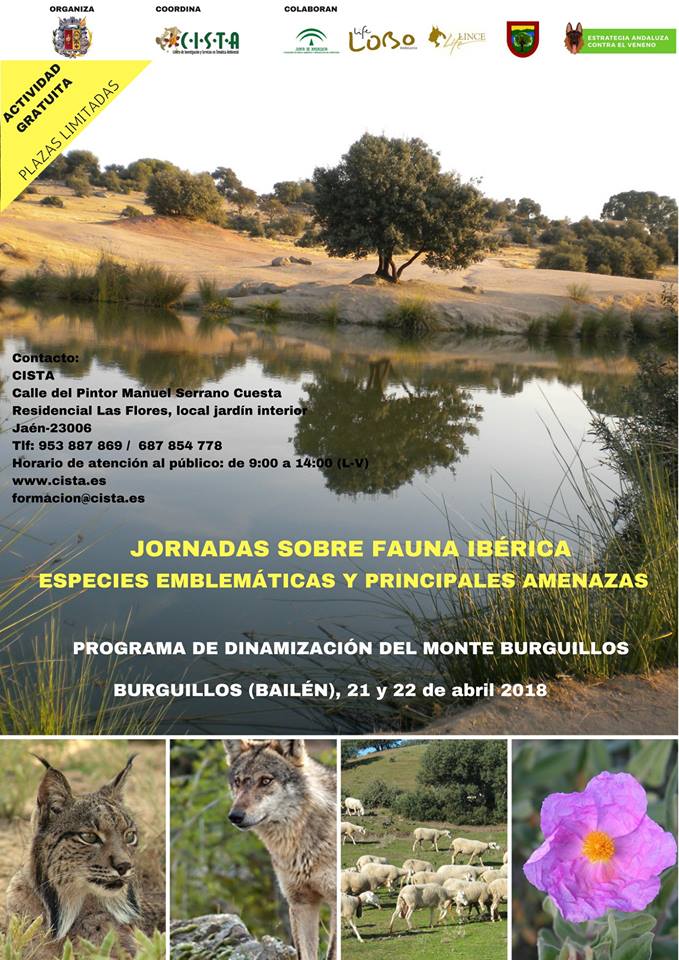 29694364 1682783835147325 3264940839288052711 n