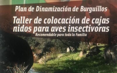 TALLER DE COLOCACIÓN DE CAJAS  NIDOS PARA AVES INSECTÍVORAS