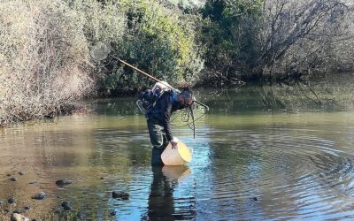 JORNADAS SOBRE ICTIOFAUNA AUTÓCTONA EN EL MUNICIPIO DE BAILÉN