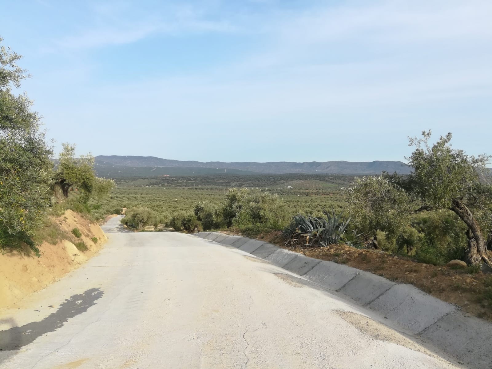 Camino después Copiar