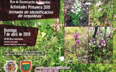 JORNADA DE IDENTIFICACIÓN DE ORQUÍDEAS