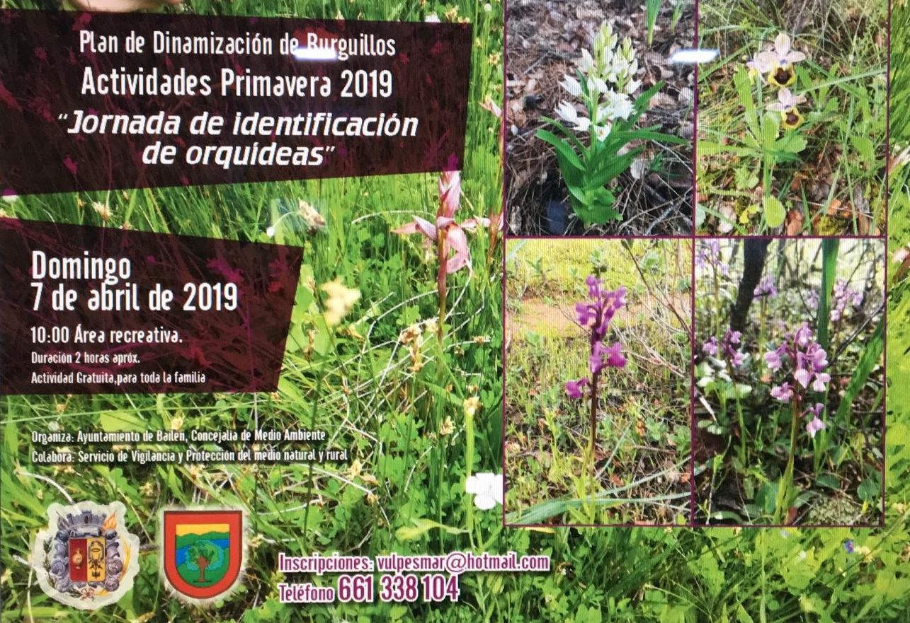 Jornada identificación orquídeas