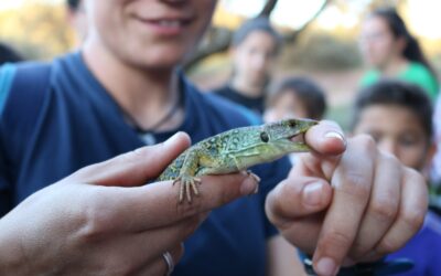 VII JORNADAS DE BIODIVERSIDAD EN EL MONTE MEDITERRÁNEO