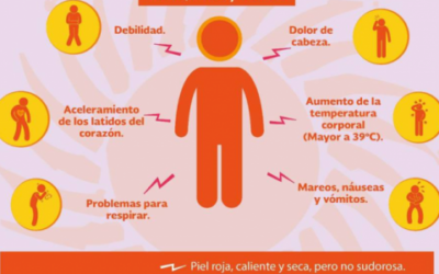RECOMENDACIONES ANTE LA PRIMERA OLA DE CALOR DEL VERANO