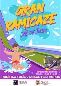 Cartel Kamicaze Copy