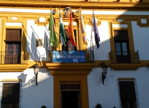 25 DE OCTUBRE, DÍA INTERNACIONAL DE LA PIEL DE MARIPOSA