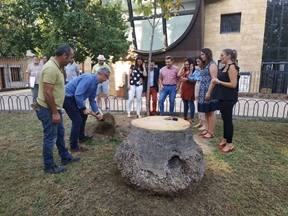 CINCO ÁRBOLES PARA HOMENAJEAR A LOS HÉROES  DE LA BATALLA DE BAILÉN