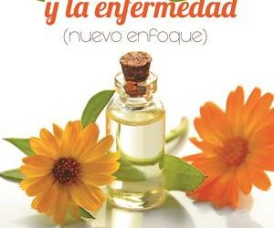 LAS FLORES DE BACH Y LA ENFERMEDAD