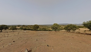 NUEVAS ACTUACIONES PARA PONER EN VALOR TURÍSTICO EL MONTE BURGUILLOS