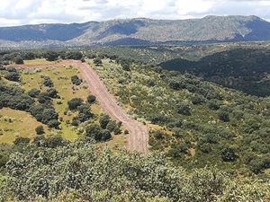MEDIDAS DE PREVENCIÓN CONTRA INCENDIOS EN EL MONTE BURGUILLOS