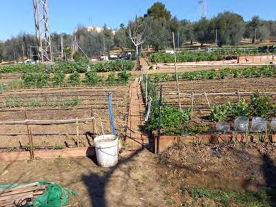 ADJUDICADOS SIETE HUERTOS SOCIALES QUE HABÍAN QUEDADO LIBRES