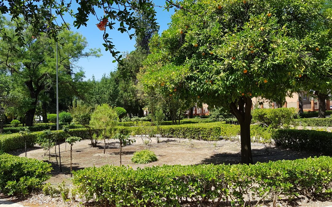 Los parques de Bailén vuelven a abrir desde las 7 de la mañana