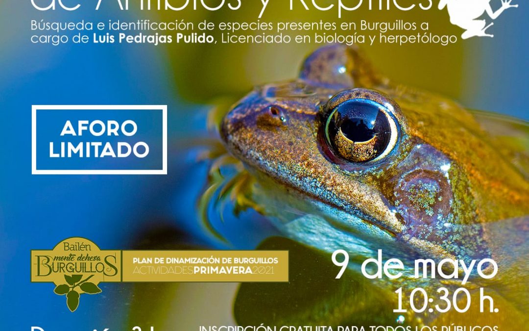 Jornada de muestreo de anfibios y reptiles en Burguillos