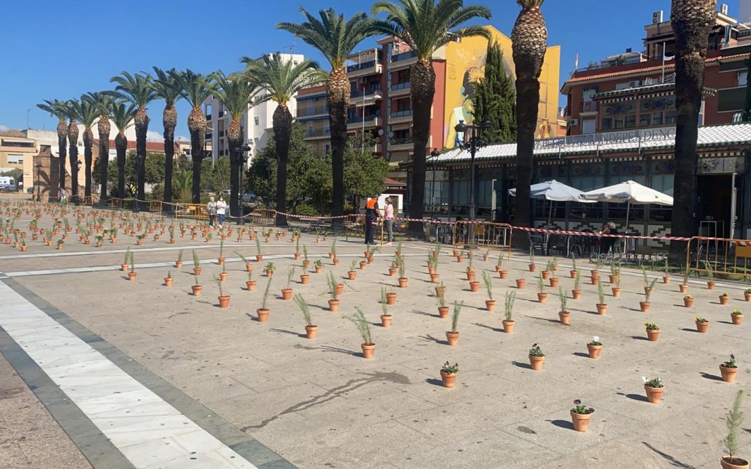 Más de mil macetas se plantarán en el Paseo de Las Palmeras dentro de Ceramiba 2021