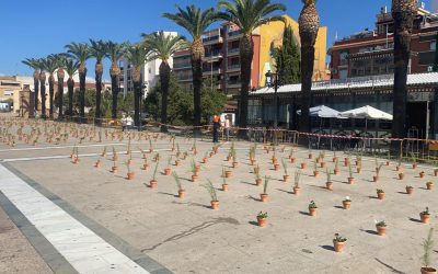 Más de mil macetas se plantarán en el Paseo de Las Palmeras dentro de Ceramiba 2021