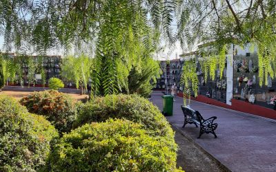Se realizan obras de mejora en el cementerio por valor de 22.457 €