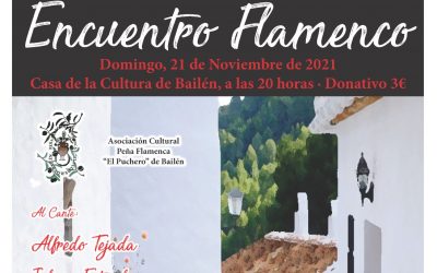 Velada Flamenca para conmemorar la declaración del Flamenco como Patrimonio Inmaterial de la Humanidad