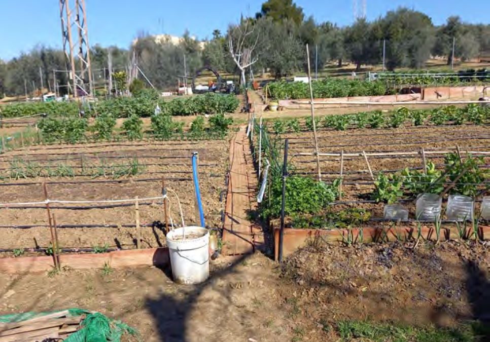 El Ayuntamiento de Bailén recibe una subvención de la Diputación para los Huertos Sociales