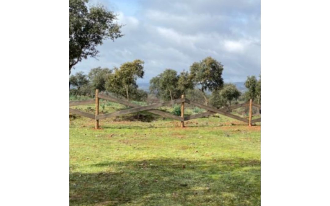 Suspensión de los permisos de quema y del uso del fuego en zonas recreativas