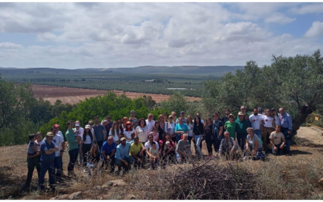 Éxito de participación en la jornada de puertas abiertas de la 2ª Campaña de la excavación arqueológica del yacimiento “ Piedras del Cardado”