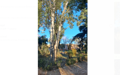 Cierre del Vivero por motivos de seguridad