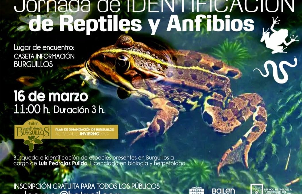 Jornada de Identificación de Reptiles y Anfibios en Burguillos