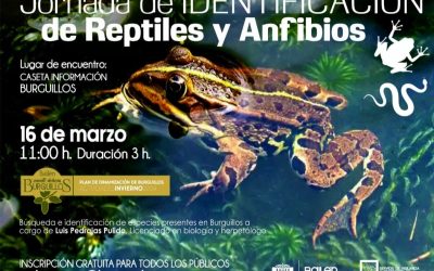 Jornada de Identificación de Reptiles y Anfibios en Burguillos