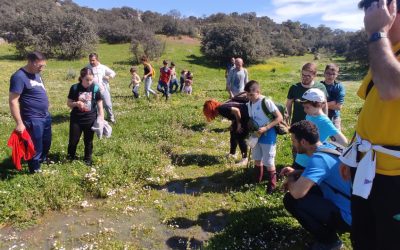Jornada de Identificación de Reptiles y Anfibios celebrada en la Dehesa de Burguillos